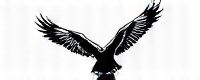 falconplay